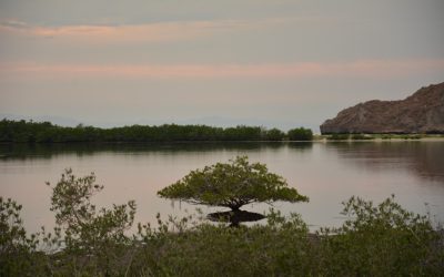 El patrimonio biocultural